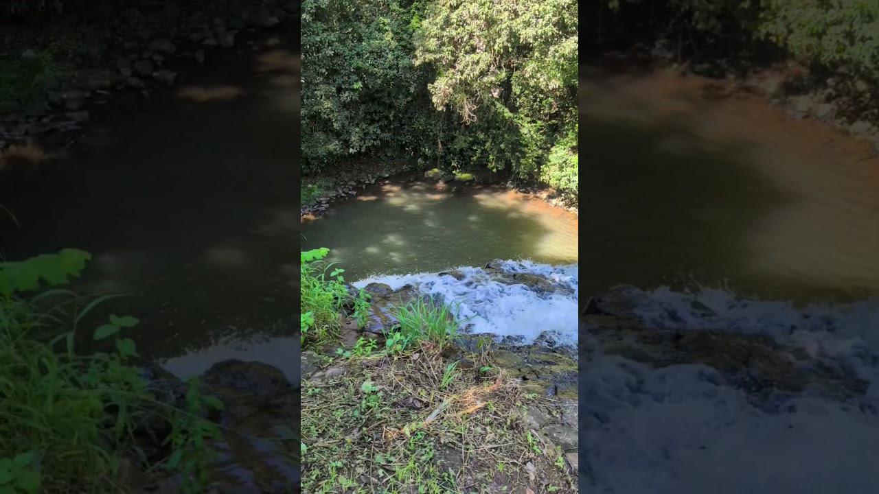 Hidden Gem: Pepina Falls, Millaa Millaa 🌿