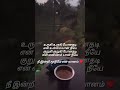 urugi urugi songa whatsapp status #tea #rain #malai #biscuit #urugi #yiutubeviralshorts #status #wha