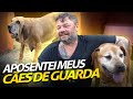 PARA ONDE VÃO OS CÃES APOSENTADOS? | A CASA DOS BICHOS