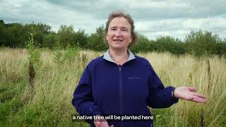 The Forest of Biologists @CompanyofBiologists