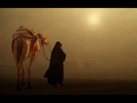 Seven Ponds Sina Bathaie