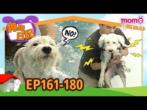 EP161-180 Mommy's DV! Recording Alpha's Every Move｜Journal of Dog｜Full Version｜momokids
