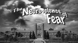 The Neuroscience of Fear | Washington University