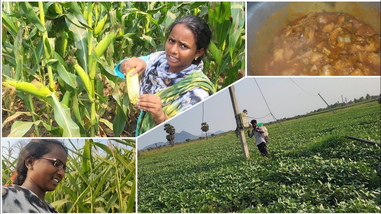 🥺అంతా బానే ఉందన్న  టైం కి ఏదో ఒకటి అవుతూనే ఉంది..! మా అమ్మ మా కోసం chicken curry గ్రేవీ గా చేసింది