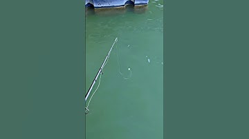 Crappie Season is here! Time to find the slabs! #crappiefishing #fishing #crappie