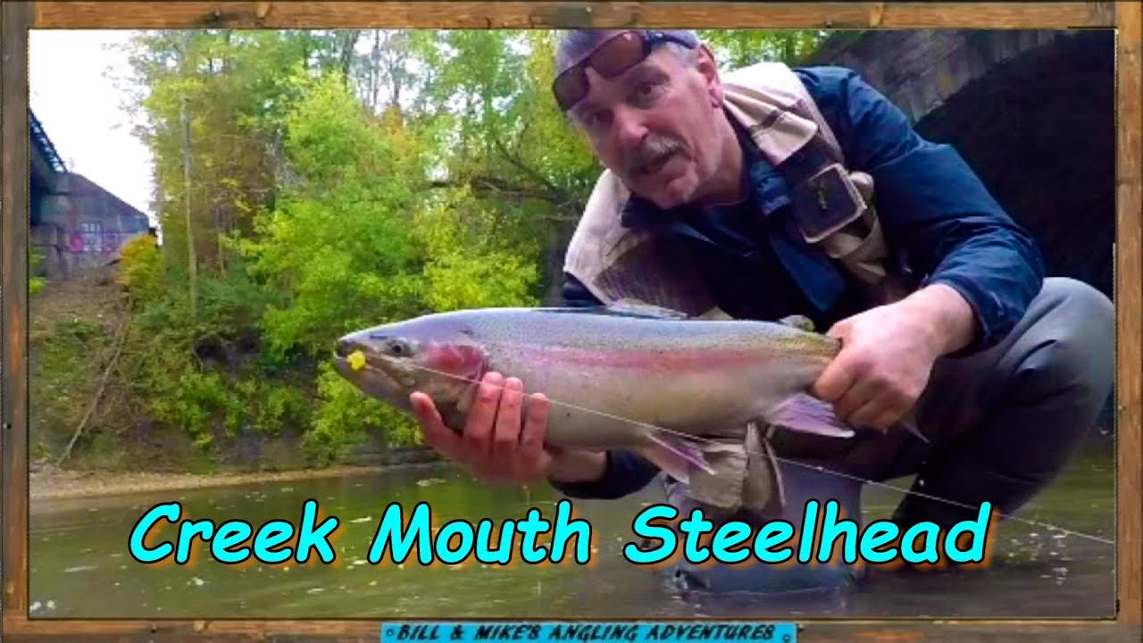 Крик-Маут, стальноголовый лосось 2020