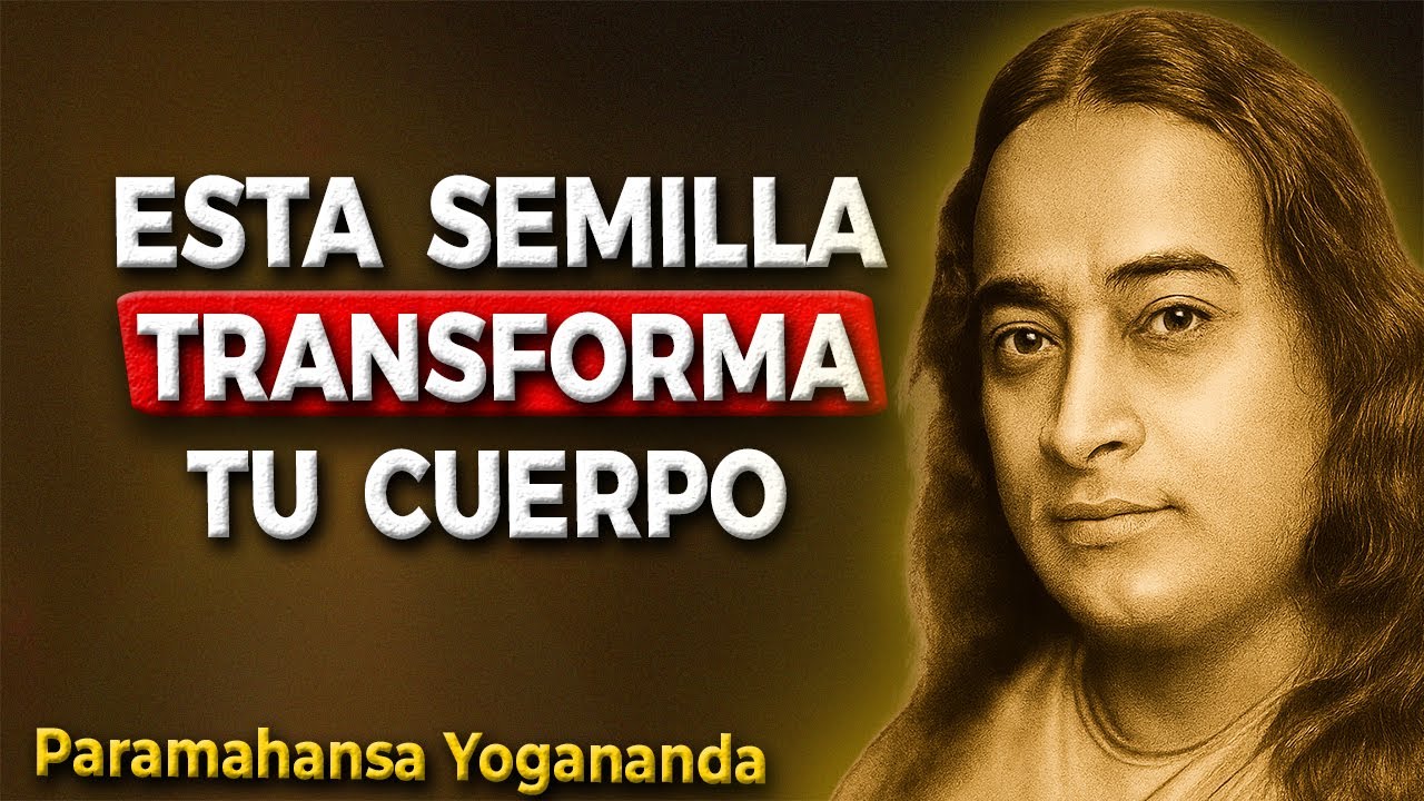 👉 Remoja esta semilla una noche y observa cómo tus articulaciones mejoran en 7 días