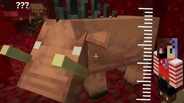 Visiting the Nether for the First Time in 10 YEARS...