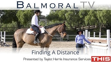 Finding A Distance With Your Hunter or Jumper