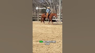 Mastering the Perfect Trot  Horse Training Tips #horse #ahorsewithnoname #cowboys #thehorseandhisboy