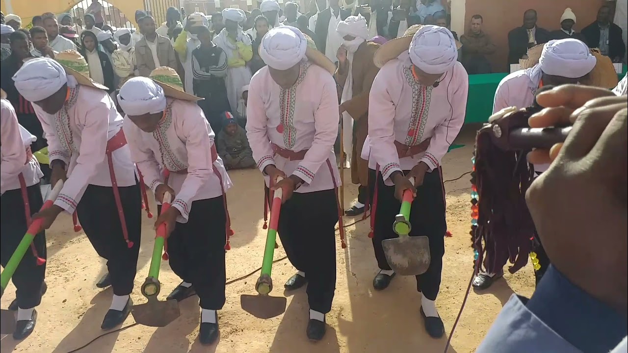 شااااهد و ترقب  رقصة فلكلورية تراثية من تراث ادرار العريقة { تويزة }