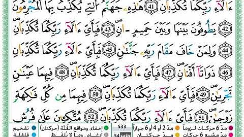 سورة الرحمن بصوت حمزة الجزائري