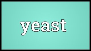 Yeast Meaning