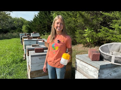 Basically a Wash! 🐝