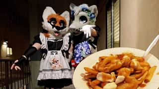 The Furry Poutine Party