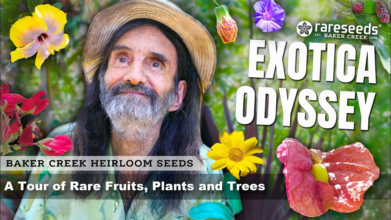 Добро пожаловать в Эдем | Питомник редких и удивительных экзотических растений