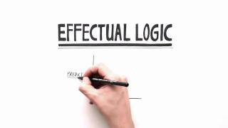 Corporate Effectuation by Effectuation-Intelligence Netherlands (dutch version)