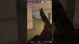 This guy is Global Elite on 3 accounts!  #csgo #comedyvideos #gaming #funnyshorts #cs2office #funny