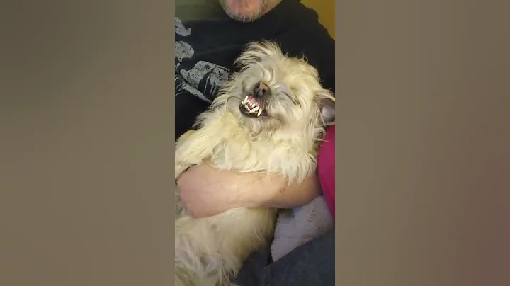 Puppy possessed