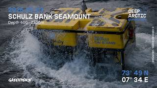 DEEP ARCTIC Expedition – Divestream // 23.05.2026