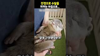 진정으로 수달을 위하는 마음으로..