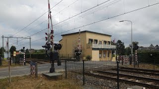 20180711 Vogelenzang 1259-1313