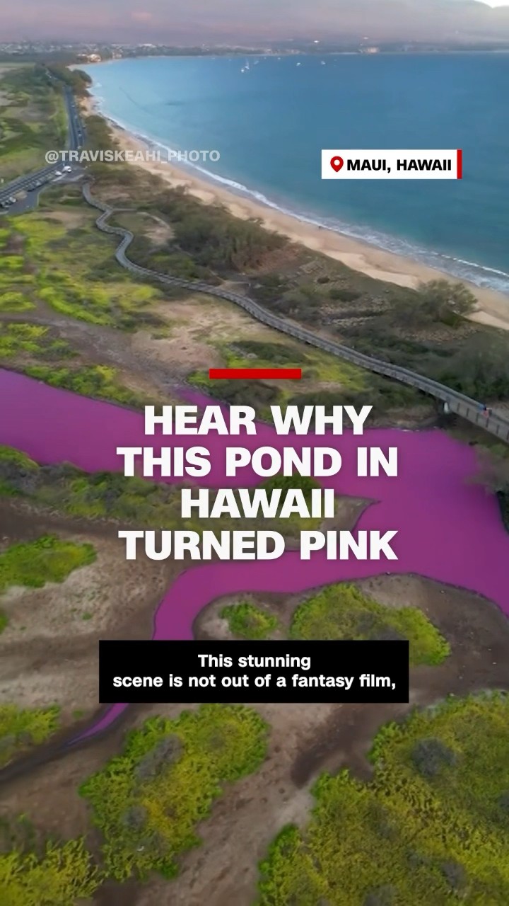 Hear why this pond in Hawaii turned pink - YouTube