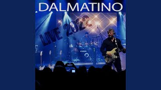 Video thumbnail of "Dalmatino - Croatia (Live 2022)"
