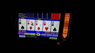 Quad Aces on 10/6 Double Double Bonus Video Poker - Palms in Las Vegas