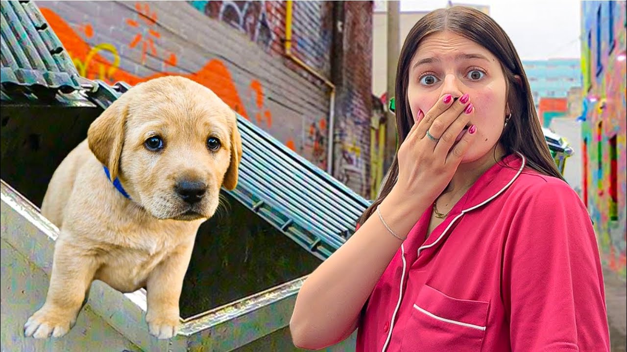 I Found a LOST PUPPY in a DUMPSTER!
