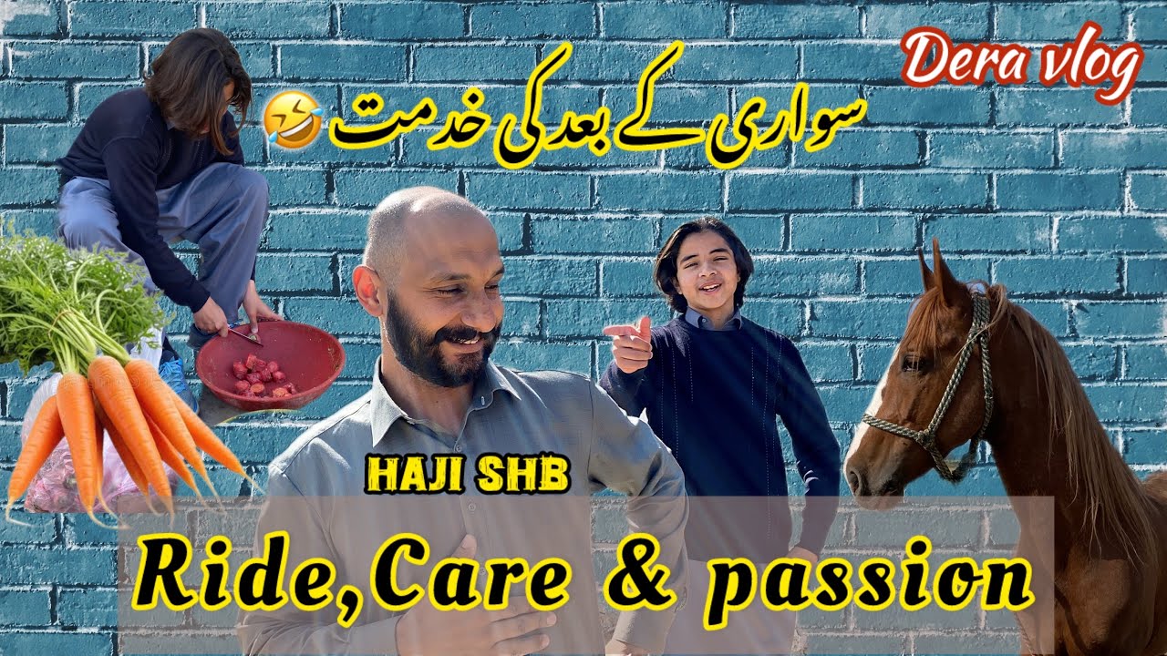 Лучшие лошади Дези из Чаквала | Езда на Бад Ки Хидмат 🤣 | Сегодня лекция по верховой езде | Хаджи...