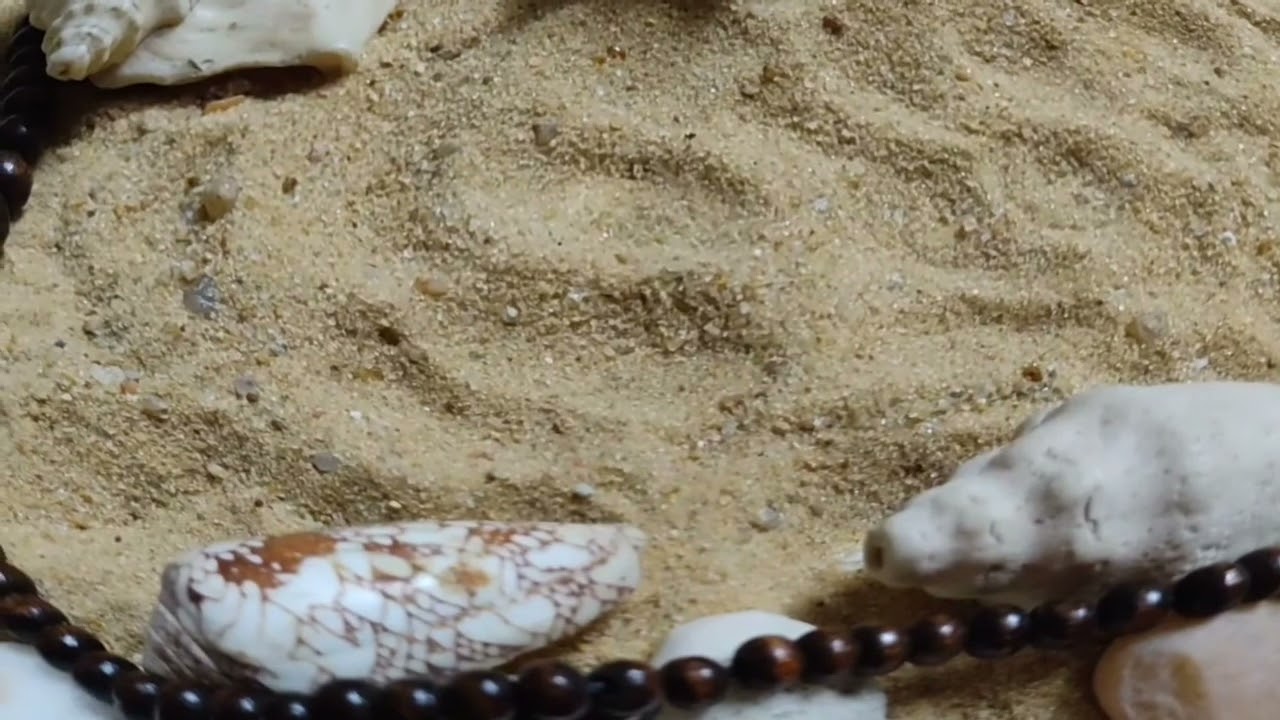 برج الحوت ♓ اللحظة اللى كنت خايف منها حصلت الحقيقة اللى كانت مستخبيه #القارئه_ام_احمد