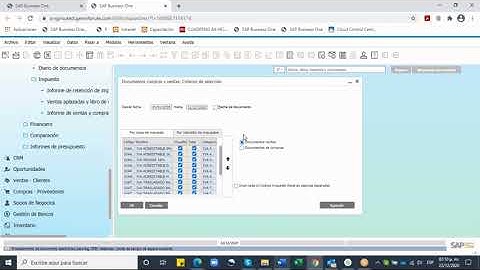 Genera el Informe de Ventas Aplazadas y Libro de Compras en SAP Business One