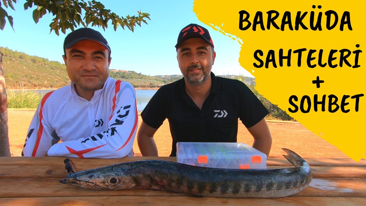 BARAKÜDA HAKKINDA / SAHTELER, SOHBET,  DAIWA CERTATE , FiiiSH SİLİKON , ATÇEK LRF SPİN, TURNA BALIĞI