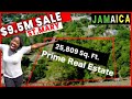BUYING LAND IN JAMAICA in 2021 | Land For Sale in St. Mary