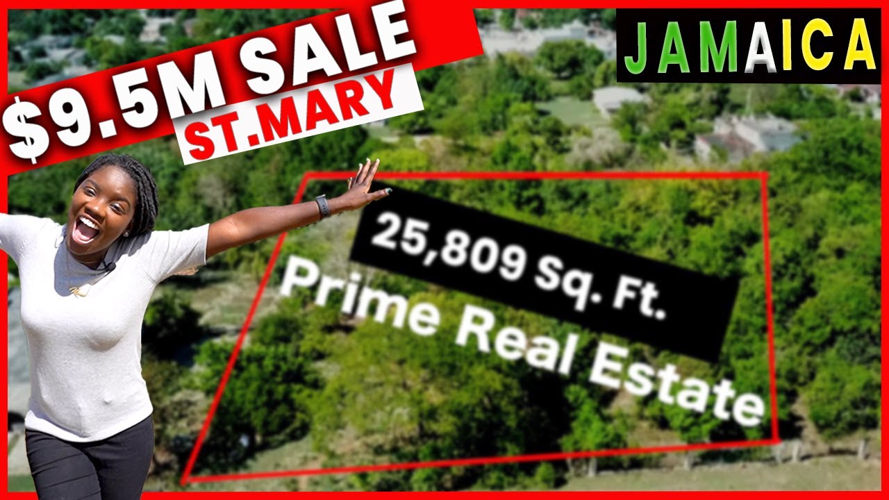 THIS 9,500,000 LAND FOR SALE IN ST.MARY JAMAICA IS THE BEST VALUE FOR