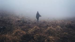 Vesky - DESOLATE