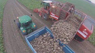 Arrachage de betteraves 2014 avec une GRIMME Rexor 620 -GoPro-