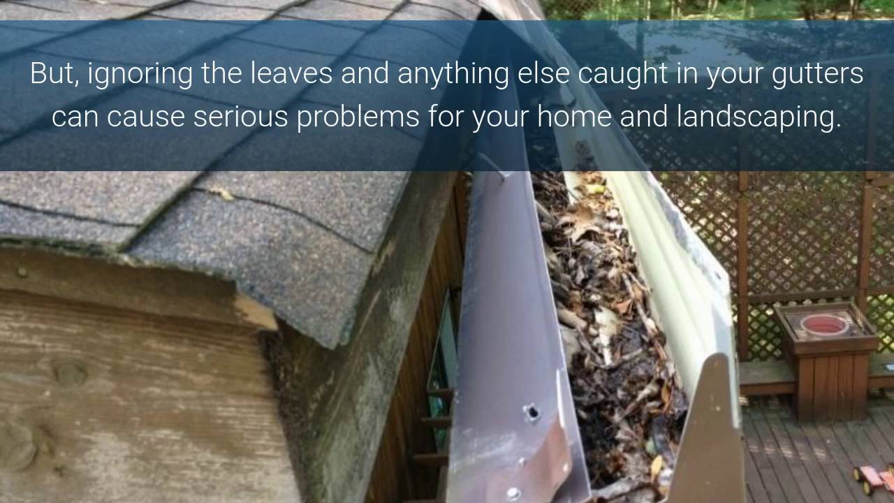 Gutter Cleaning St Louis YouTube