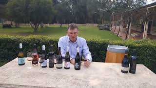2020 De Lisio Argento Shiraz (McClaren Vale) - One Sip Tasting - Mark Conroy of Lloyds Auctions Wine