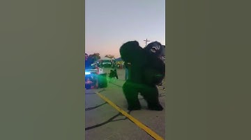 Live shows 2025 - Trunk or Treat and This is Hallow Beats