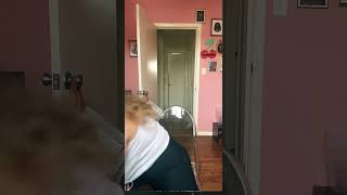 Periscope Live Lovelygirl 2025