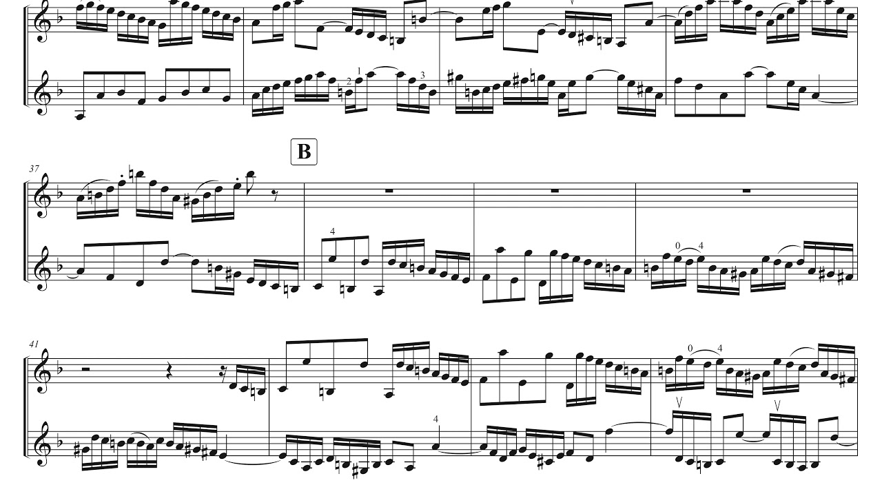 Bach Double Violin Concerto in d, 1st Movement: Vivace, BWV 1043 ...
