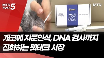개코에 지문인식, DNA 검사까지… 진화하는 펫테크 시장  / 머니투데이방송 (뉴스)