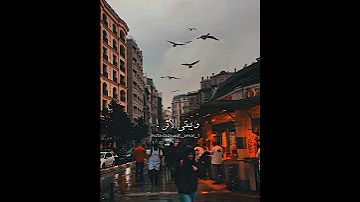 السنا احق بقلب سعيد 
