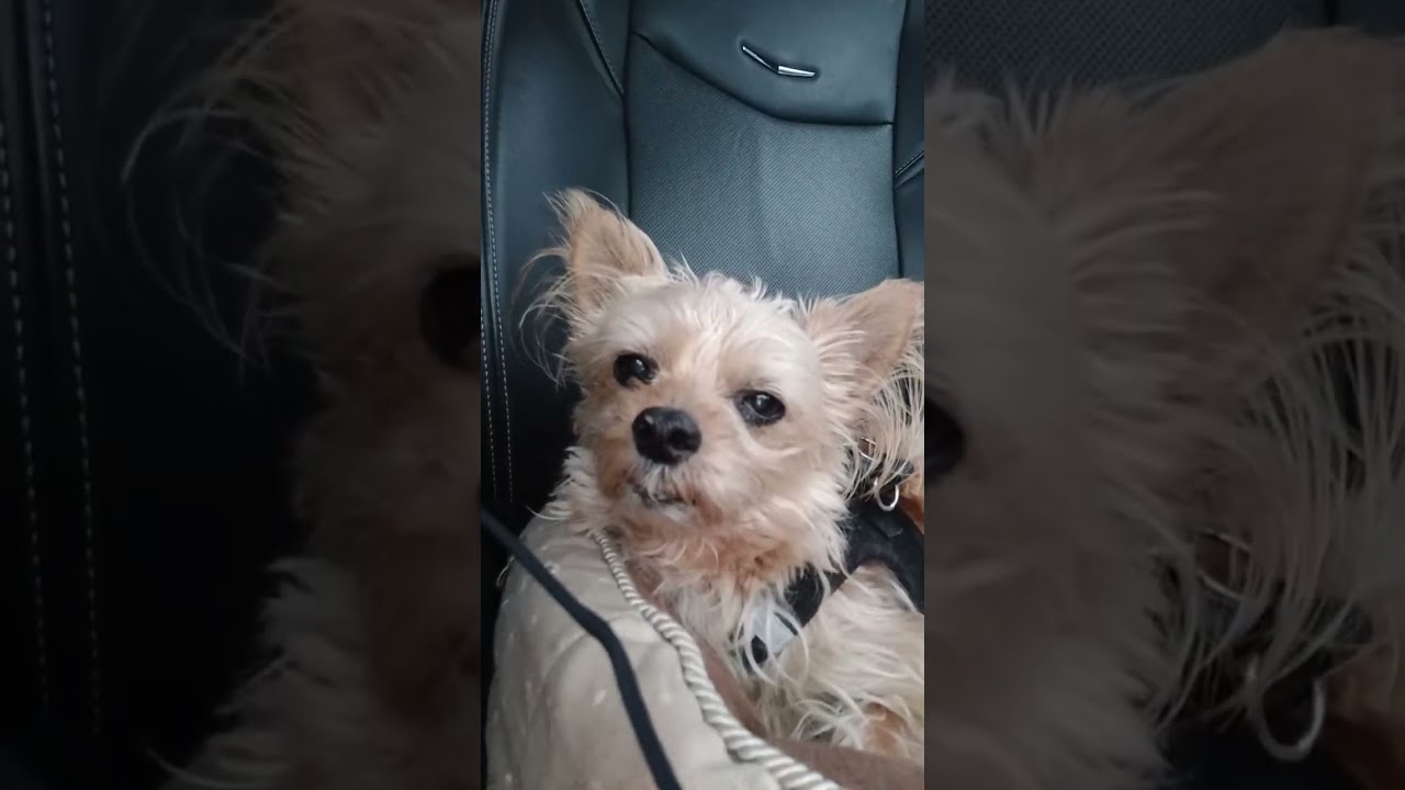 2026-01-09 ReasonSpeak with Sidney Winston from Burnaby