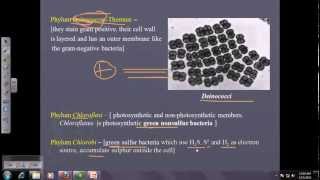 Bergey s Manual Vol 1 mp4