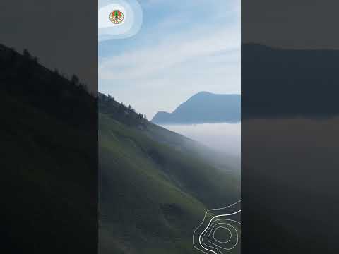 Bromo sudah mulai pulih dan menghijau kembali #klhk#bromo#ayoketamannasional#tnbts