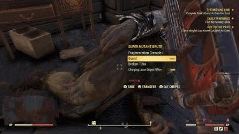 Fallout 76 stealth build