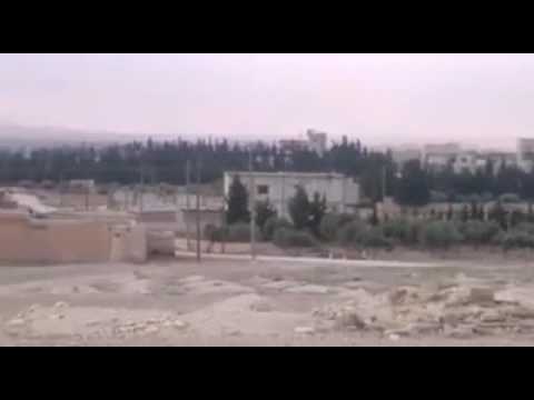 مريت دار الولف 